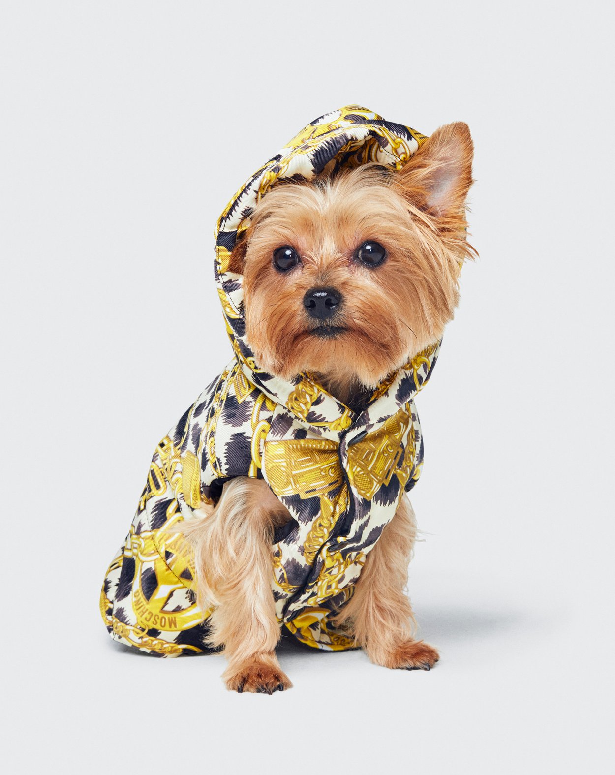 H&M x Moschino Kollektion Lookbook H&M x Moschino Kollektion Lookbook
