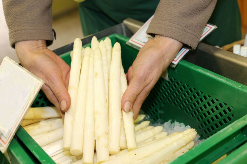 Spargel