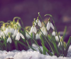 Schnee bis in die Tiefen: Kaltfront zerstört Hoffnung auf baldigen Frühlingsbeginn