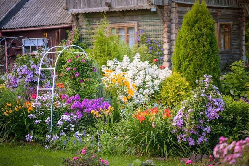 beautiful ornamental garden