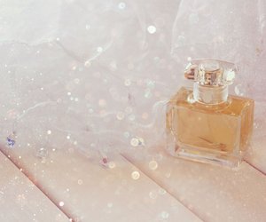Sanfte Eleganz: Diese pudrigen Parfums von Rossmann verzaubern mit Sinnlichkeit