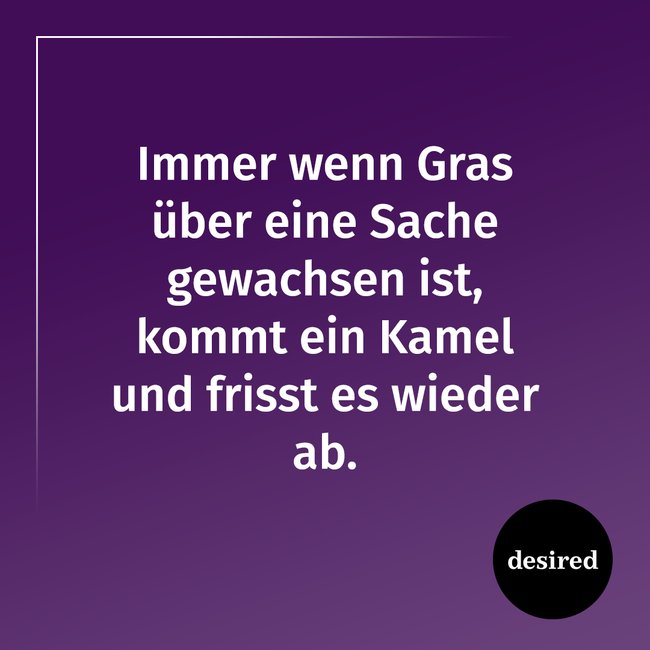 Spruch dumm