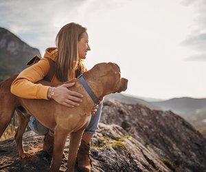 Die schönsten Wanderrouten mit Hund in Schleswig-Holstein