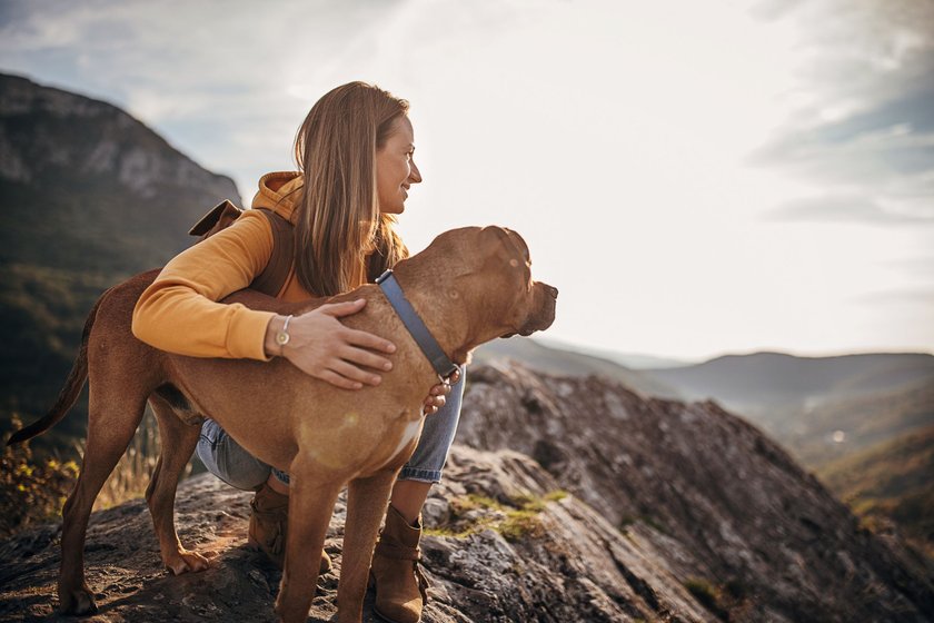 One woman, female hiker and her dog on mountain peak on a sunny day.