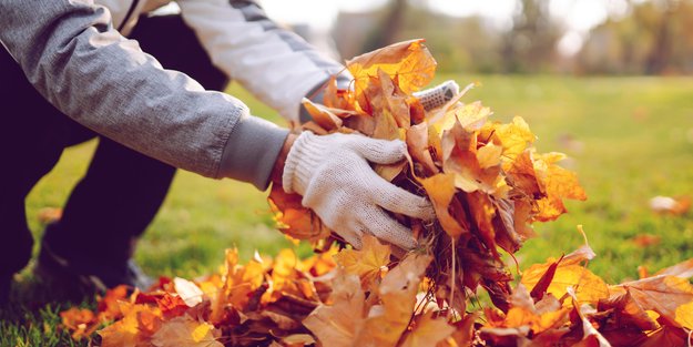 Herbstlaub nicht wegwerfen! So kannst du es sinnvoll nutzen