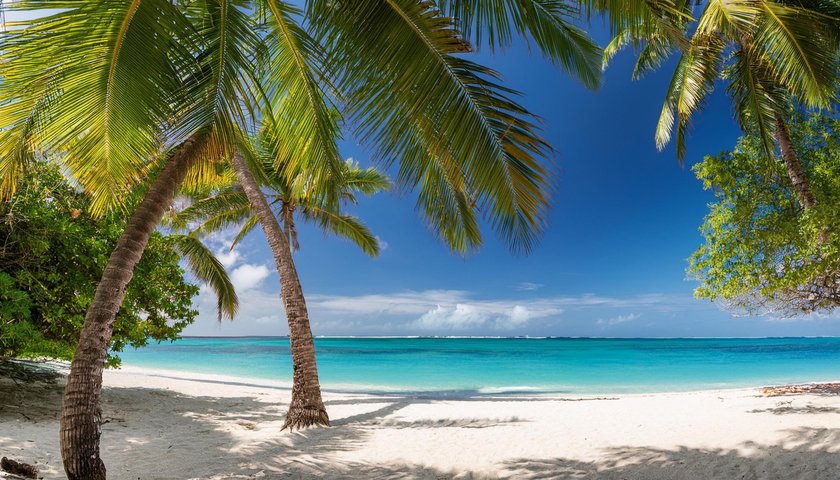 tropical beach scene