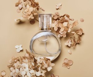 Jetzt bei dm: Alle wollen dieses blumige Vanille-Parfum für 4 Euro