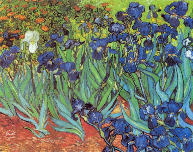 Vincent van Gogh Iris