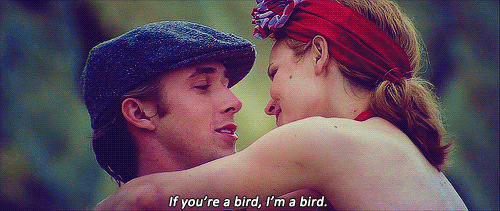 if you're a bird