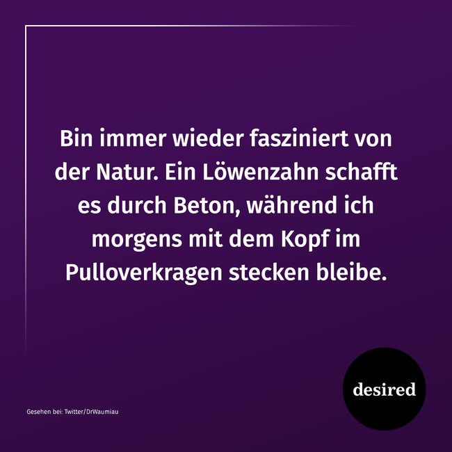 Lustige Sprüche Desiredde