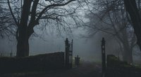 Wer diesen Thriller von Fitzek liest, wird seine Sicht auf die Welt hinterfragen