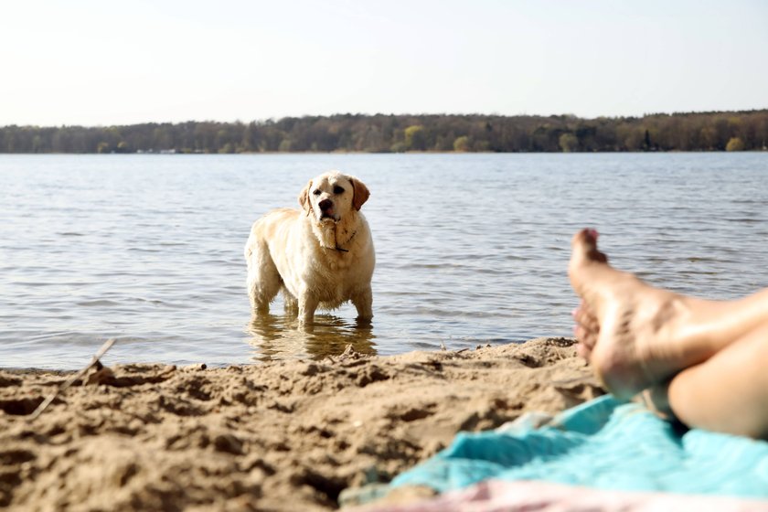 Baden in der Havel.