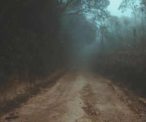 Gnadenlose Schnitzeljagd: Dieser Thriller-Roman von Fitzek ist nur etwas für starke Nerven