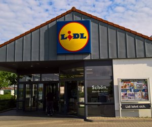 Camping-Upgrade gefällig? Hol dir den praktischen Wind- und Sichtschutz von Lidl