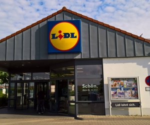Campingausflug geplant? Echte Outdoor-Fans schnappen sich den Wind- und Sichtschutz von Lidl