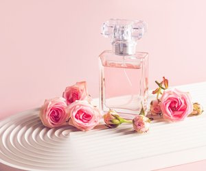 Elegant, weiblich, klassisch: Diese Parfums mit Rosenduft musst du kennen