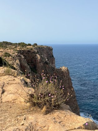 Far de la Mola