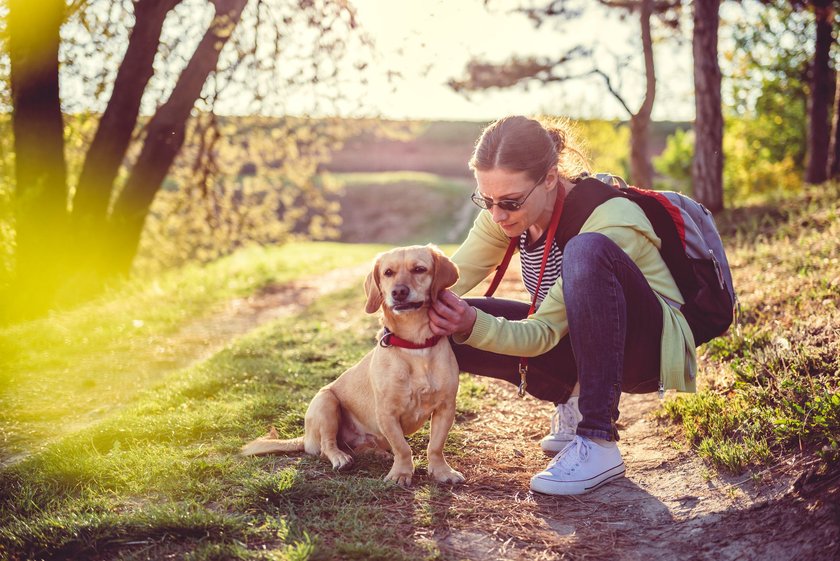 Zeckenschutz für Hunde