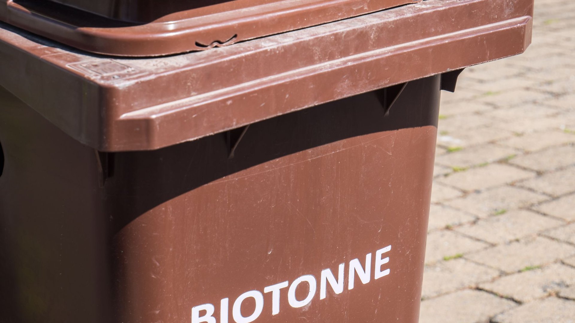 Was-tun-gegen-Maden-in-der-Biotonne-die-besten-Tipps-gegen-das-eklige-Ungeziefer