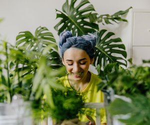 Schluss mit Fliegen in der Blumenerde: Mit diesem genialen Amazon-Produkt wirst du sie wirklich los