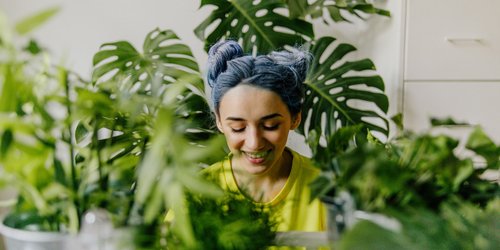 Schluss mit Fliegen in der Blumenerde: Mit diesem genialen Amazon-Produkt wirst du sie wirklich los