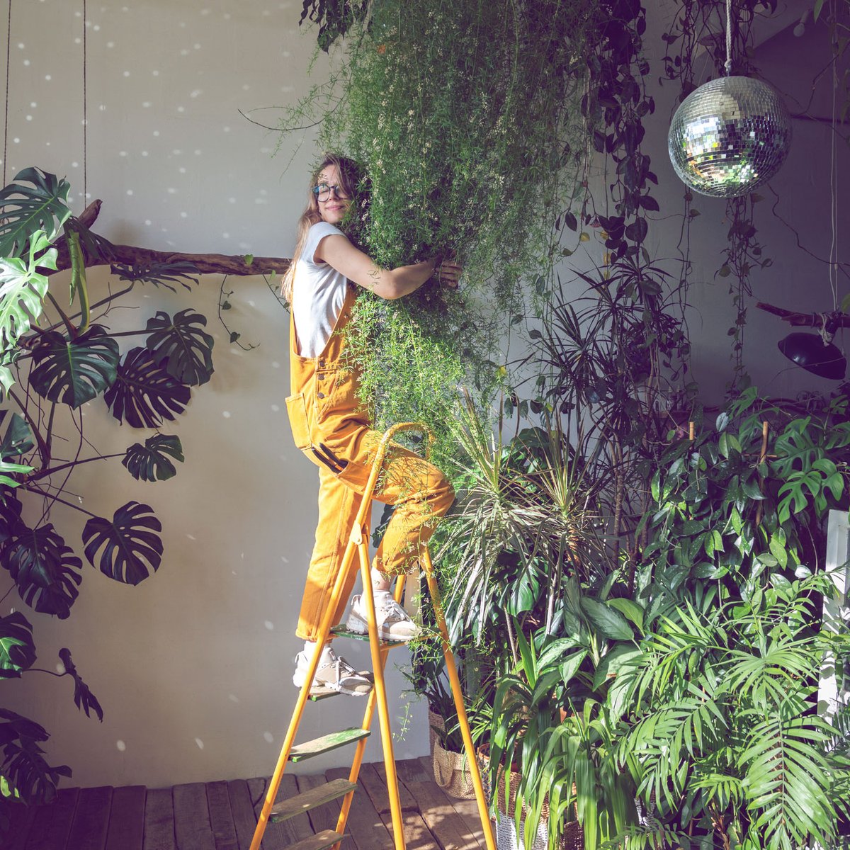 Wenn Pflanzen zu Deko-Highlights werden: Diese stylishen Zimmerpflanzen  lieben gerade alle