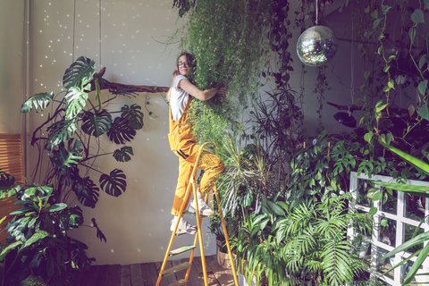 Wenn Pflanzen zu Deko-Highlights werden: Diese stylishen Zimmerpflanzen  lieben gerade alle