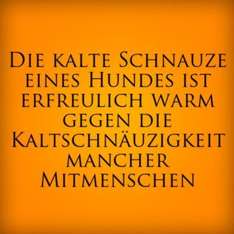 Spruche Zitate Zum Nachdenken Desired De