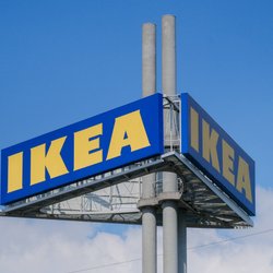 Ikea-Highlight für Hunde: Das bequeme Hundebett aus Rattan