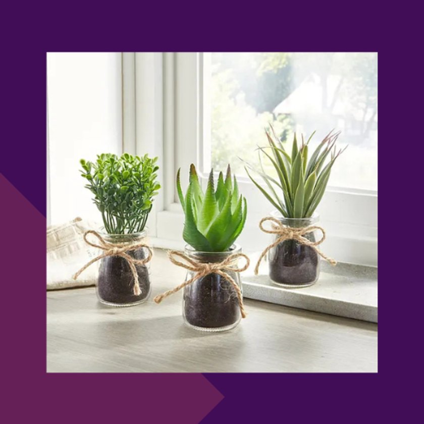 Kunstpflanzen im Glas