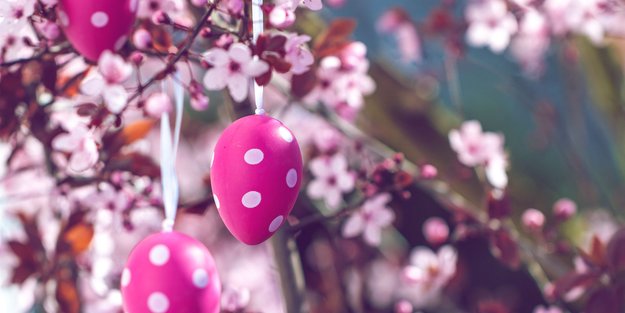 Das Wetter zu Ostern: Läutet Hoch Nicole endlich den Frühling ein?