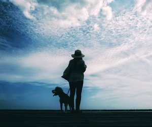 Auf diesen Wanderrouten erkunden dein Hund und du die wunderschöne Natur Brandenburgs