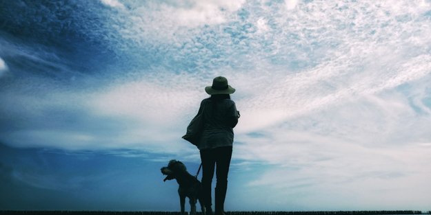Wunderschöne Wandertouren in Brandenburg, die dein Hund und du lieben werdet
