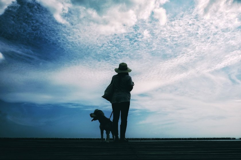 Die Silhouette einer Frau und ihres Hundes vor einem blauem Himmel.