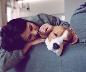 Der beste Freund des Menschen: Welche Sternzeichen Hunde über ALLES lieben