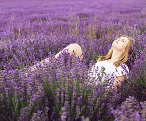 Lavendelöl: So vielseitig kannst du es einsetzen