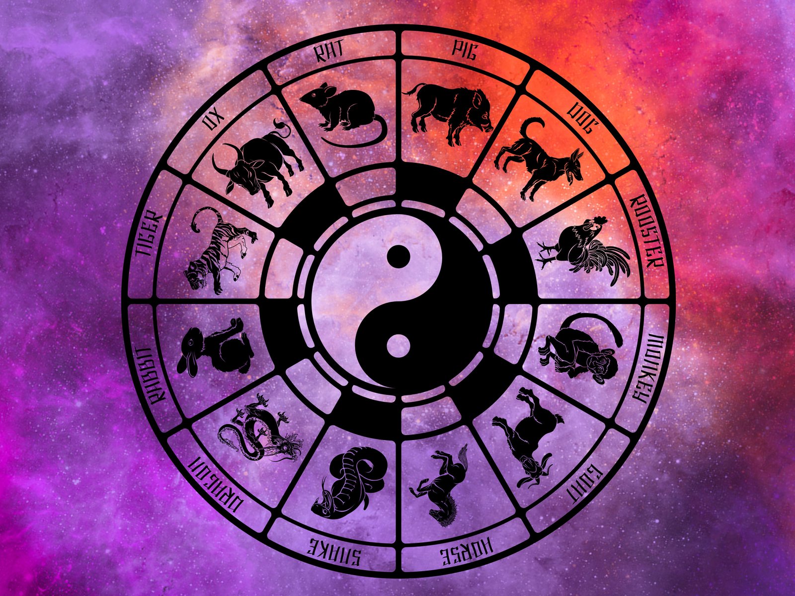 Chinesisches Horoskop 2024: Welches chinesische Sternzeichen habe ich?