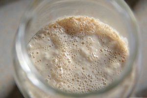 Ein Sauerteig entsteht Ein Sauerteig entsteht