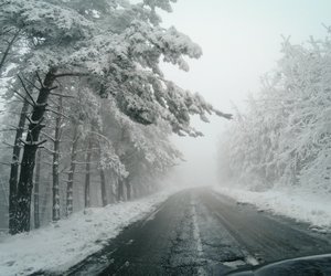 Mystery pur: Dieser Medical Thriller von Tess Gerritsen entführt dich in ein verlassenes Dorf