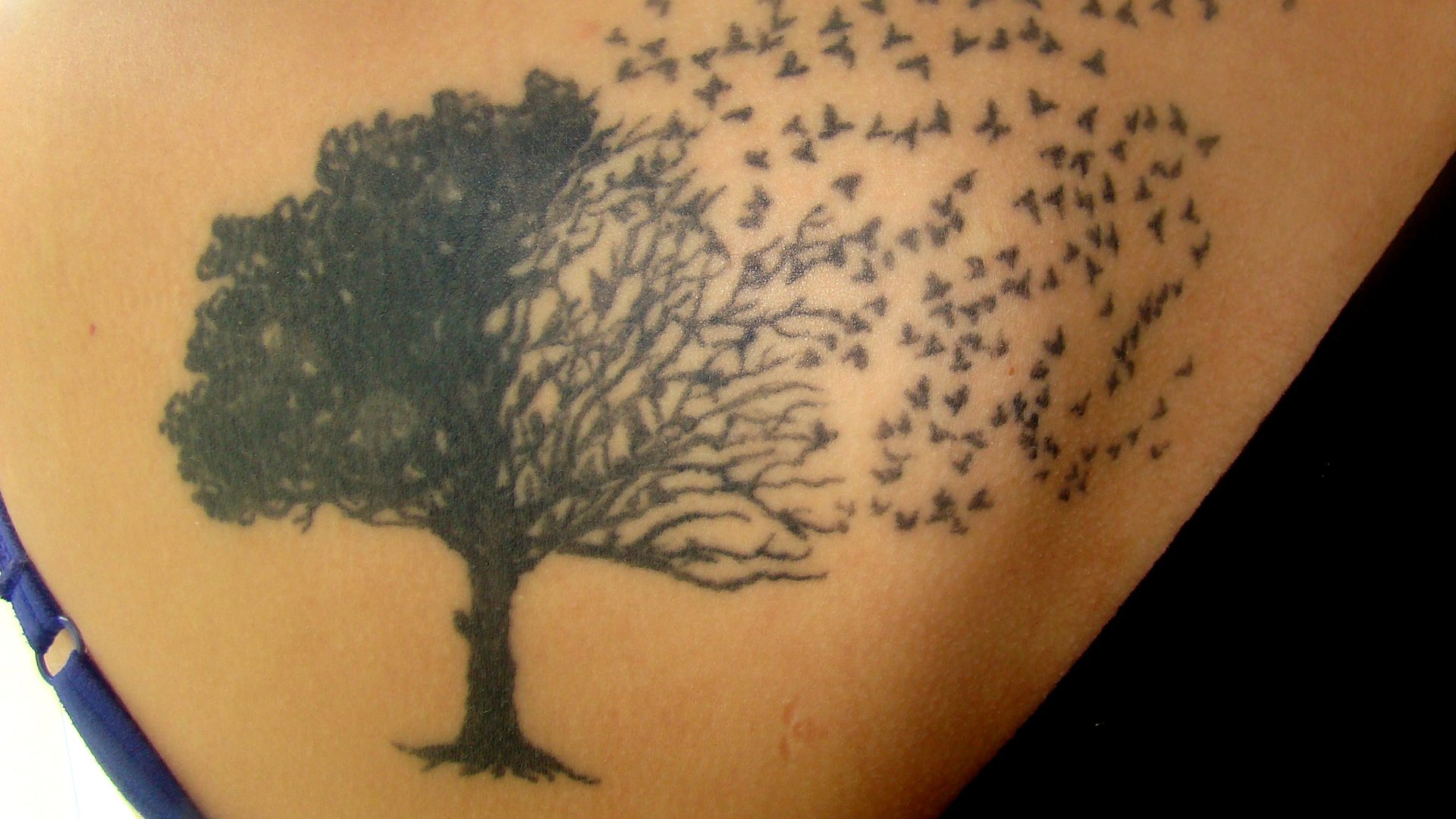 Frau spruch tattoo unterarm Tattoo Frauen
