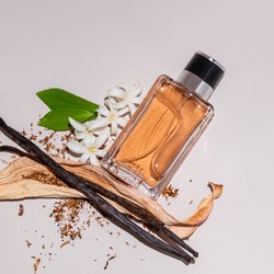 Entdecke den Zauber: Ein Unisex-Duft mit sinnlich-orientalischem Holzcharakter