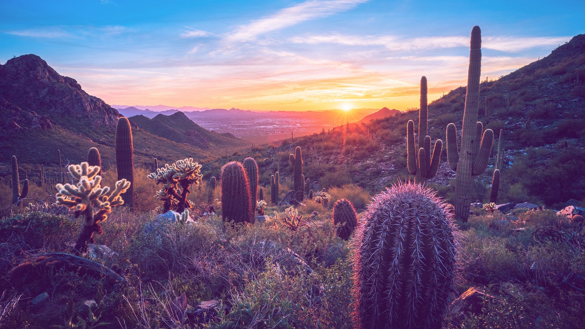 Warum Arizona ein Muss auf deiner Bucketliste sein sollte!