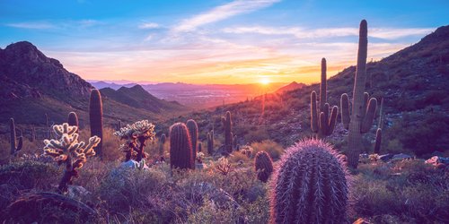 Warum Arizona ein Muss auf deiner Bucketliste sein sollte!