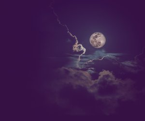 Wolfsmond: Was versteht man eigentlich darunter?
