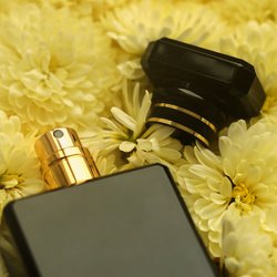 Moschus, Zedernholz und Tonkabohne: Dieses blumige Rossmann-Parfum riecht geheimnisvoll