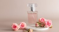 Verführerisch anders: Das Parfum mit schwarzer Rose und Labdanum bei Rossmann