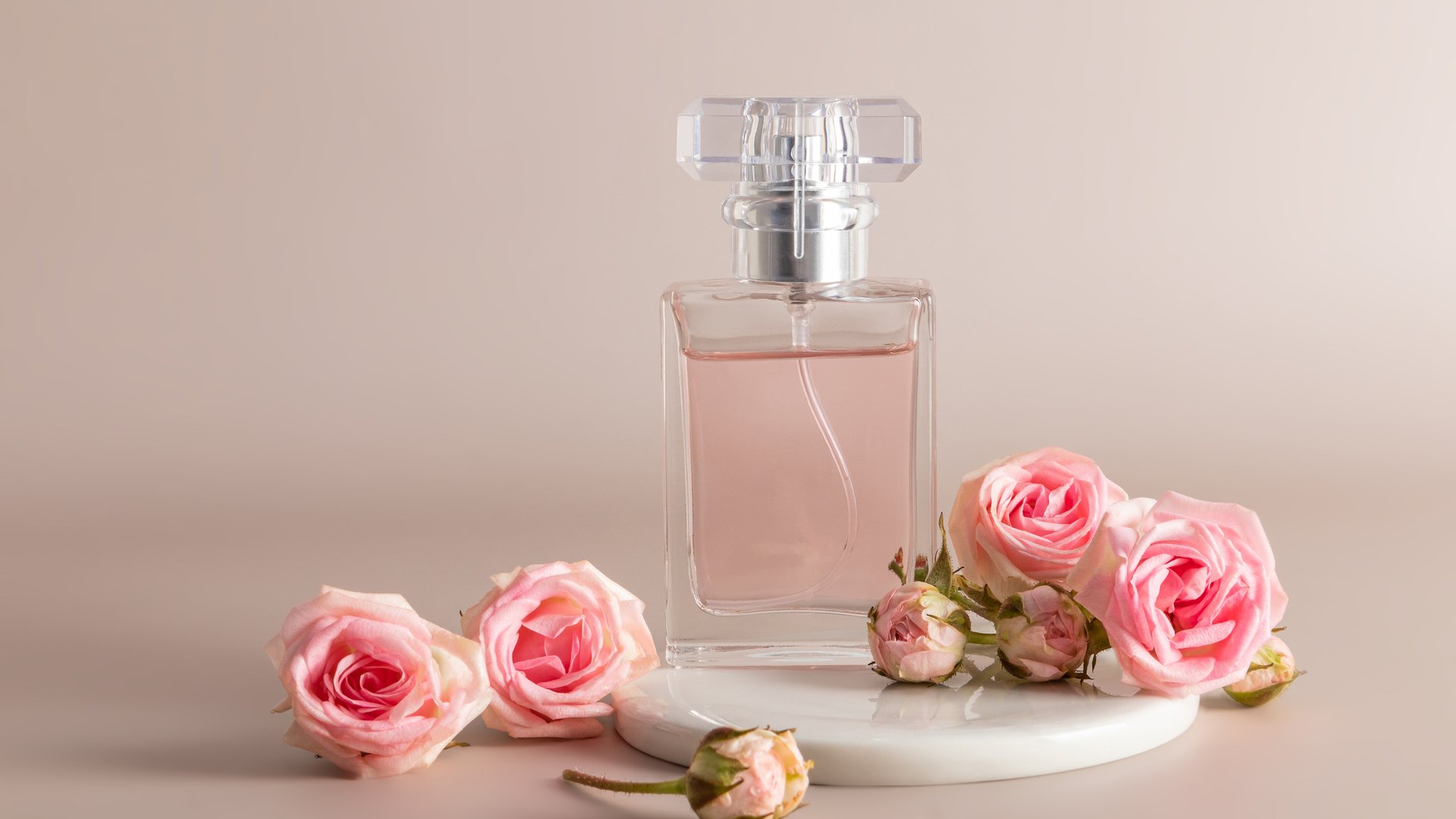 Einzigartiger Duft: Hol dir das aromatische Parfum mit schwarzer Rose ...