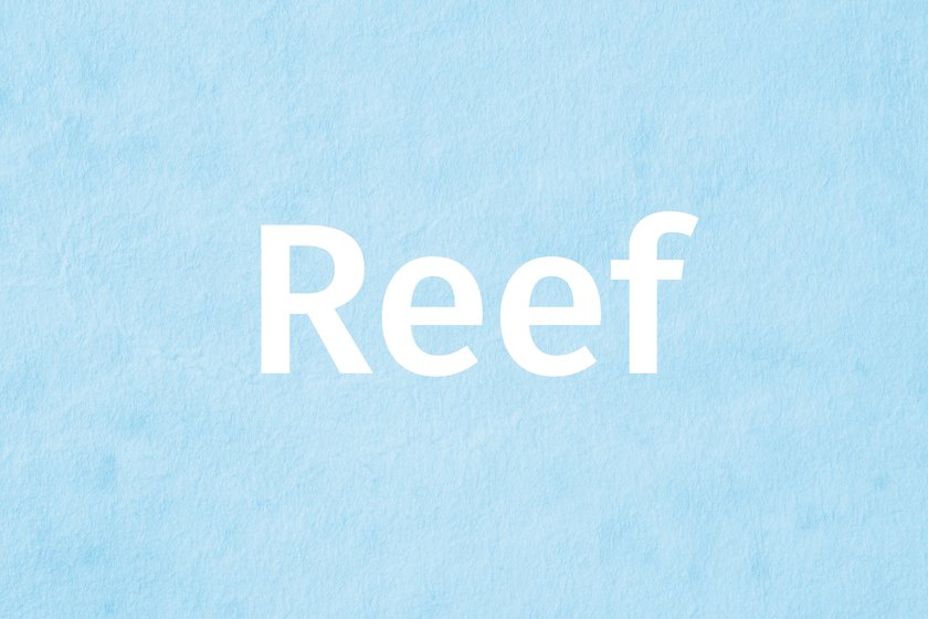 #8 Sommer-Jungenname: Reef