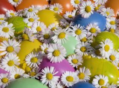 Ohne Eier wäre das Osterfest kaum vorstellbar. Ohne Eier wäre das Osterfest kaum vorstellbar.
