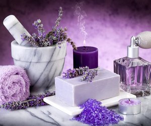 Lavendel – eine richtig dufte Pflanze